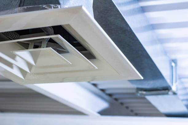 Best HVAC Duct Inspection Services  in Pardeeville, WI