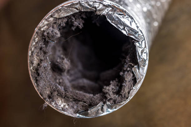 Best HVAC Air Duct Cleaning  in Pardeeville, WI